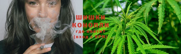 спиды Бородино