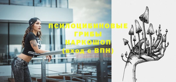 ешки Вязники