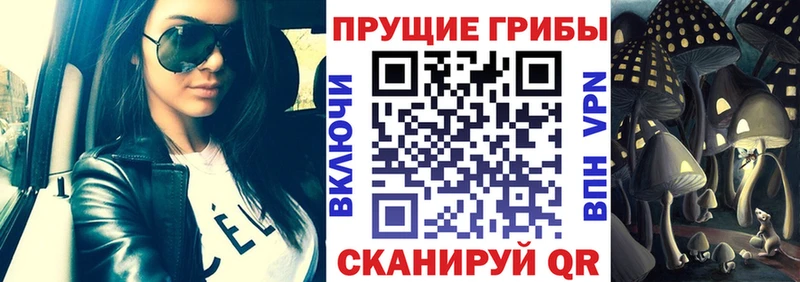 закладки  Вихоревка  Псилоцибиновые грибы GOLDEN TEACHER 