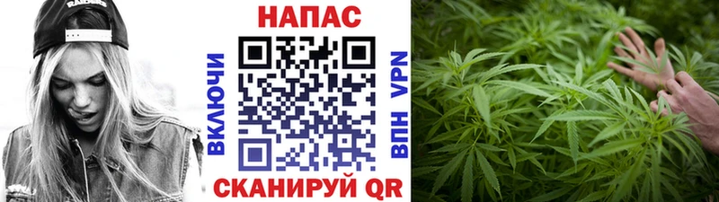 даркнет наркотические препараты  Вихоревка  Шишки марихуана White Widow 