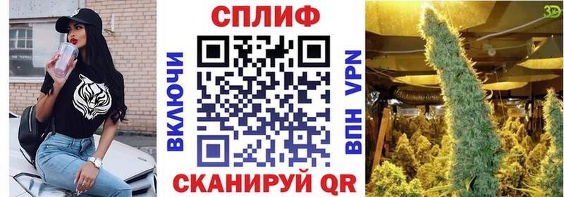 Шишки марихуана сатива Вихоревка